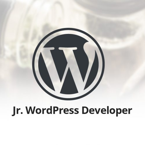 H32B Jr. WordPress Developer Wanted